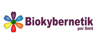 O que é Biokybernetik?